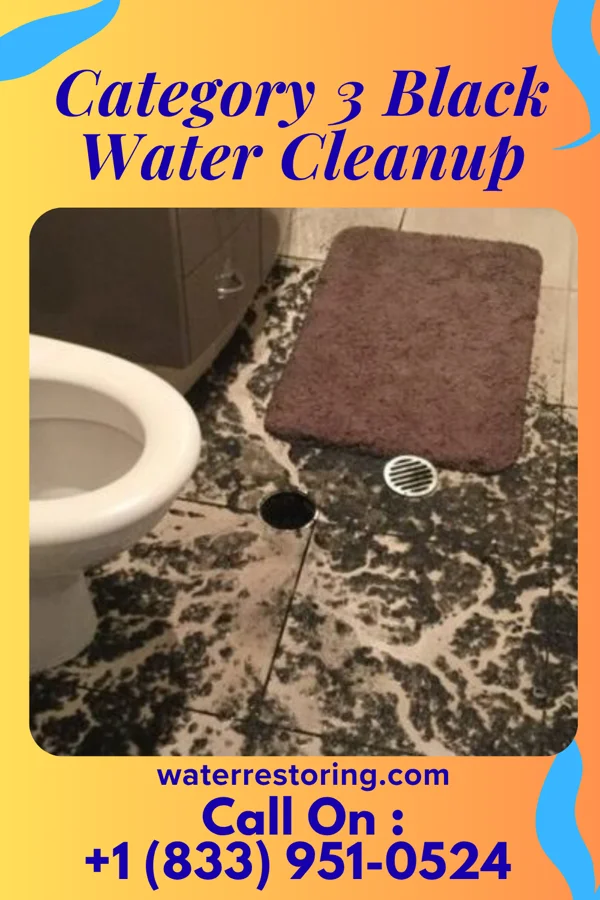 Category 3 Black Water Cleanup in Rawson, OH