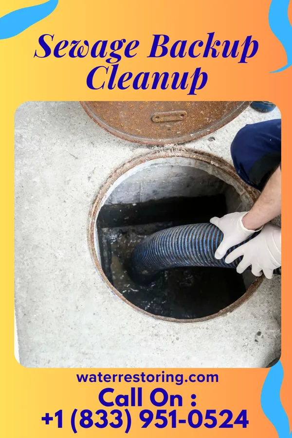 Sewage Backup Cleanup in Rawson, OH