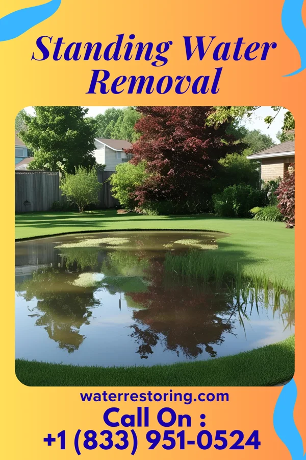 Standing Water Removal in Rawson, OH